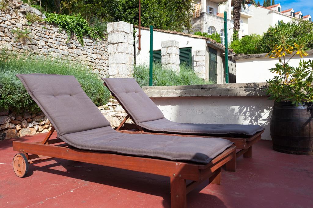 House Hedera Ii *